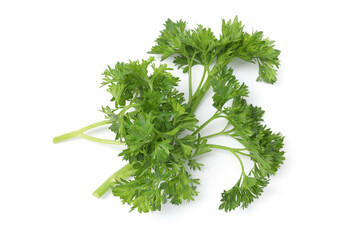 Sprigs of fresh parsley isolated on white