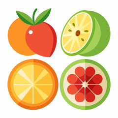 Colorful Citrus Fruits Vector Illustration with Oranges, Lime, and Grapefruit Slices