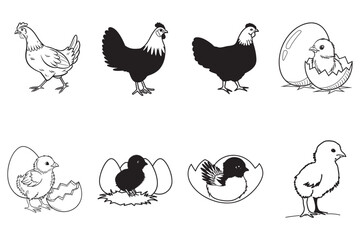 Obraz premium Simple Line Drawings of Chickens and Chicken Parts