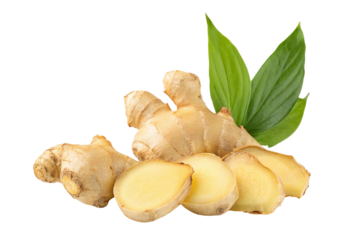 Fresh ginger root with leaves for healthy cooking and herbal medicine natural food ingredient and spice use