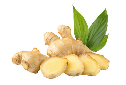Fresh ginger root with leaves for healthy cooking and herbal medicine natural food ingredient and spice use - Powered by Adobe