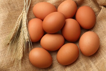 Raw eggs and spikes of wheat on fabric, flat lay