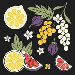 Fresh citrus fruits figs grapes floral design elements
