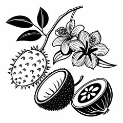 Exotic fruit with hibiscus flower, clean cutout, transparent png