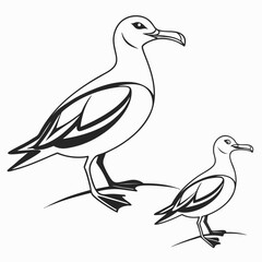 Adult and baby seagull line art illustration