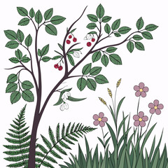 Elegant floral illustration botanical design element