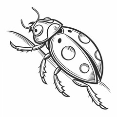 Professional ladybug illustration isolated on white background