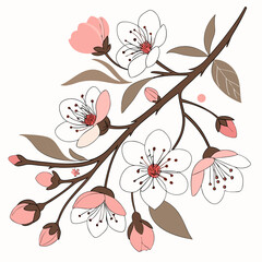 Elegant cherry blossom branch, isolated floral design element