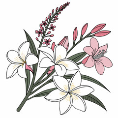Delicate pink and white floral bouquet illustration