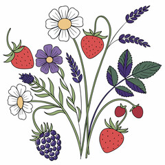 Summer berries flowers bouquet illustration design