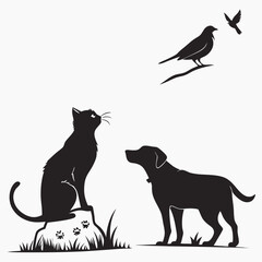 Black cat dog birds silhouettes nature wildlife
