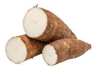 Fresh cassava root sliced raw yuca tapioca manioc healthy food ingredient recipe preparation closeup shot