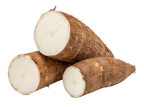 Fresh cassava root sliced raw yuca tapioca manioc healthy food ingredient recipe preparation closeup shot