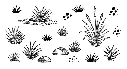 Black and white hand-drawn grass and plant illustrations on white background vector illustration