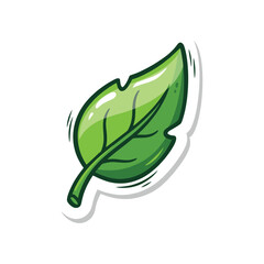 Fototapeta premium vector illustration of a green leaf