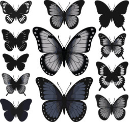 Beautiful Butterfly Collection with Detailed Wings and Silhouettes, Perfect for Nature, Spring, and Decorative Design Elements