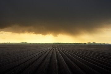 Agricultural field with plowed even rows for growing potatoes in the spring. Rainy dark clouds in the background. Agriculture landscape