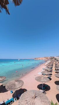 People are swimming, wading, and enjoying the shallow water of tropical sea. Rows of thatched umbrellas and sunbeds line the beach. Relaxing seaside escape. Red sea at Sharm El Sheikh, Egypt