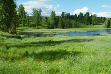 Wiese und See am Pilgerweg St. Olavsweg, Gudbrandsdalsleden bei der Pilgerherberge Risebru in der Nähe von Jessheim, Mogreina in Norwegen.