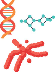 DNA double helix chromosome and molecular structure vector illustration in flat design 