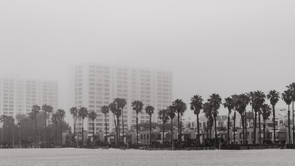 Venice Beach, California