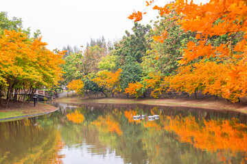 Scenic view of a lake with trees in autumn colors reflected in the calm water.