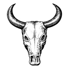 Bull skull with horns in a woodcut style in black and white
