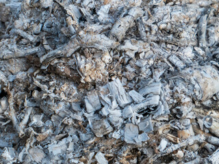 Close-up of White and Grey Fire Ash