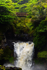 Waterfall in the Lush Tropical Forest in Maui, Hawaii