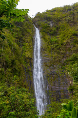 Fototapeta premium Waterfall in Maui, Hawaii