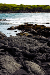 Hawaii Nature