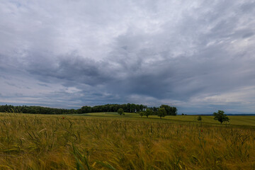 Landschaftsaufnahme eines strukturierten Wolkenhimmels mit schönen Gedreidefeldern und Vegetation.