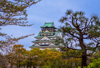 Fototapeta premium Osaka Castle with the beautiful lake surrounding it during Spring and the cherry blossoms , Osaka, Japan, South East Asia.