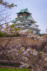 Osaka Castle with the beautiful lake surrounding it during Spring and the cherry blossoms , Osaka, Japan, South East Asia.