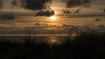 Aufnahme eines Sonnenunterganges am Meer, mit Gras als Silhouette im Vordergrund.