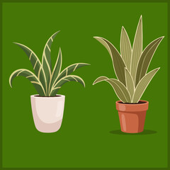  Houseplants in Pots Vector