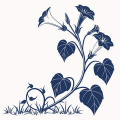 dwarf morning glory with leaves