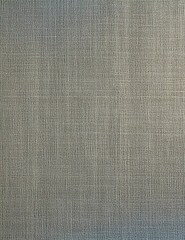 Gray-blue professional headshot backdrop, delicate linen weave texture, smooth neutral gradient, soft central lighting 2