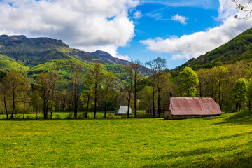 Obraz premium Panorama of the Cantal mountains around the Jordanne Valley from a hiking trail through the forest of Mandailles-Saint-Julien