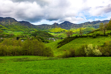 Fototapeta premium Panorama of the Cantal mountains around the Jordanne Valley from a hiking trail through the forest of Mandailles-Saint-Julien
