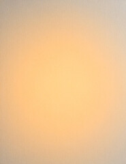 Light gray and taupe professional studio backdrop, delicate paper texture, soft central glow, neutral gradient for id photos 5