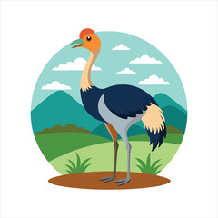 Struthio Camelus Male Bird Vector Design