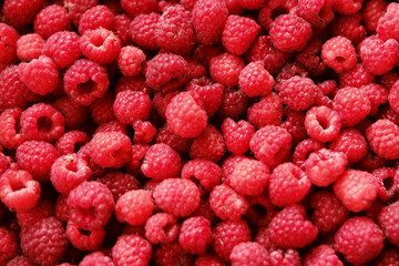 Sweet raspberry background. Full frame of fresh raspberries. Red ripe berry photo wallpaper closeup. Juicy berries. Vegetarian, vegan raw food. Organic bio product. From farm to table. Fruit pattern