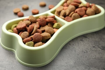 Dry pet food in feeding bowl on gray textured background, closeup