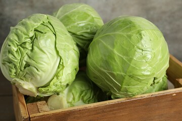 Fresh whole cabbages in wooden crate, closeup