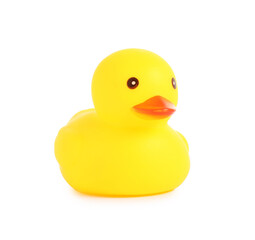 One cute rubber duck isolated on white