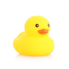 One cute rubber duck on mirror surface against white background