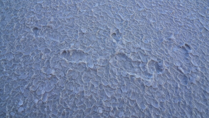 Tracks left by an unknown animal create distinct patterns on a frozen surface, reflecting winter's tranquility in a serene outdoor location