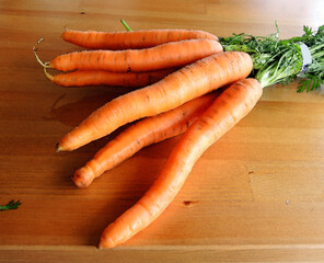 Bunch of fresh carrots on the table