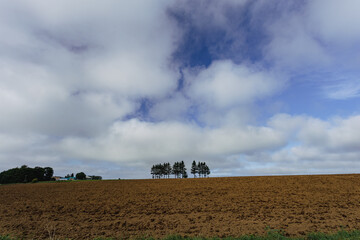 Fototapeta premium Fields and forests after harvest